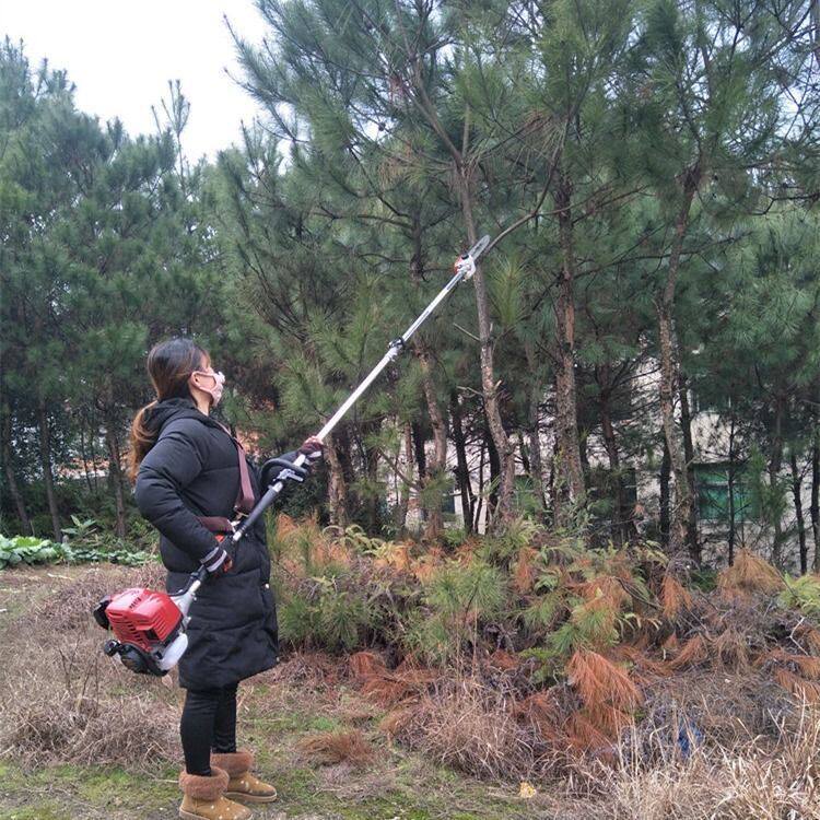 锯销高枝油锯高枝修o果树修w枝锯割草机汽油厂树高空锯高枝汽油高