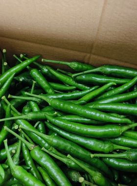 云南德宏小米辣椒新鲜现摘青红辣椒指天椒泡椒现摘青椒1斤包邮