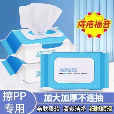 【超值家庭装】优质湿厕纸可冲水洁厕湿男女通用温润亲肤一擦即净