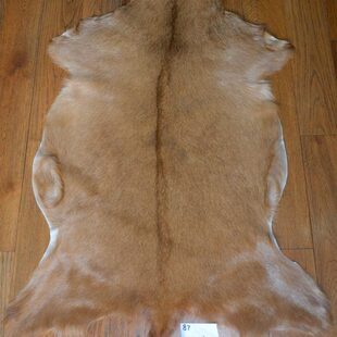 草创意壁挂真皮整张山羊装饰沙发垫椅垫皮毛一体87地垫时尚皮动物