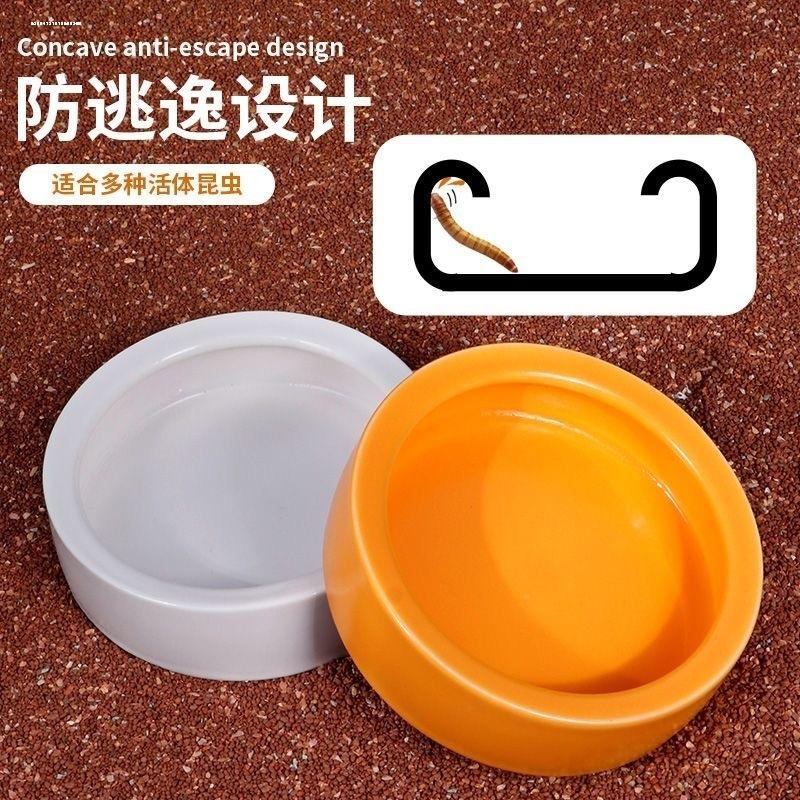 爬宠陶瓷喂水盆食盆防虫逃逸喂食