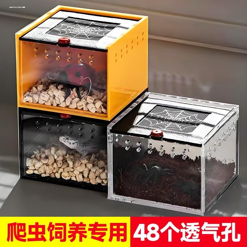 爬虫保温箱小爬宠饲养盒PVC角蛙