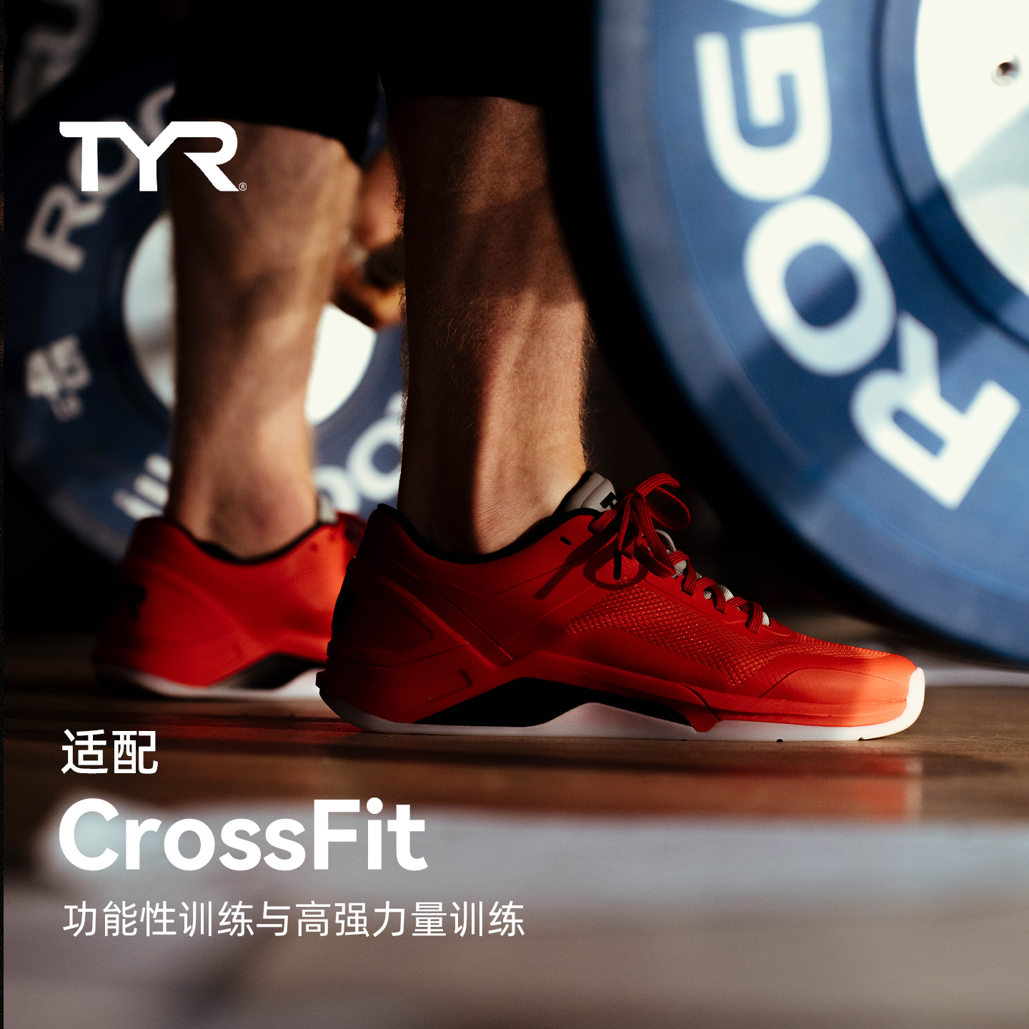 TYR CXT-3新品男子高性能综合训练鞋举重深蹲硬拉稳定支撑运动鞋