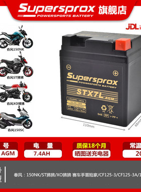 适用春风CF125-3 ST狒狒XO狒狒 150NK赛车手冒险家摩托车电瓶电池