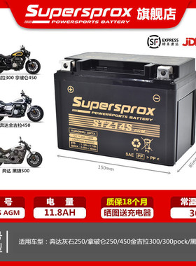 适用奔达灰石金吉拉250 300 450拿破仑黑旗500电瓶MG14ZS-C蓄电池