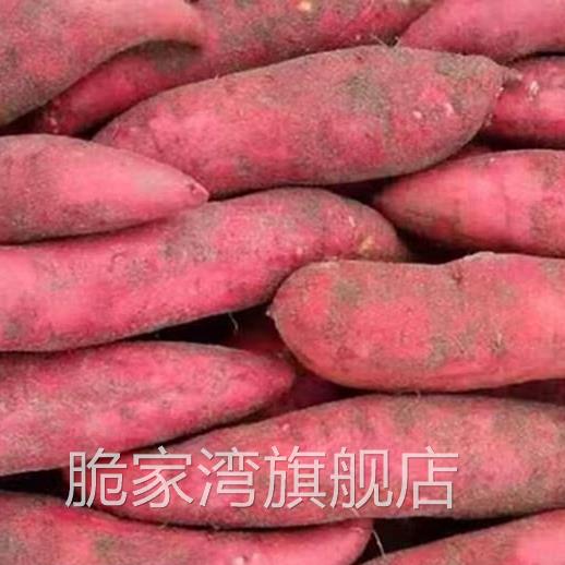 新鲜糖心蜜薯红薯农家自种10斤烤地瓜现挖烟薯25号板栗番薯沙地薯