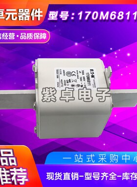 170M6697 170M6698 170M6699 170M6700 170M6701伊顿巴斯曼熔断器