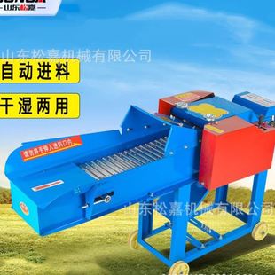 铡草机 小型家用铡草揉丝机双出料口全自动碎草机分体式
