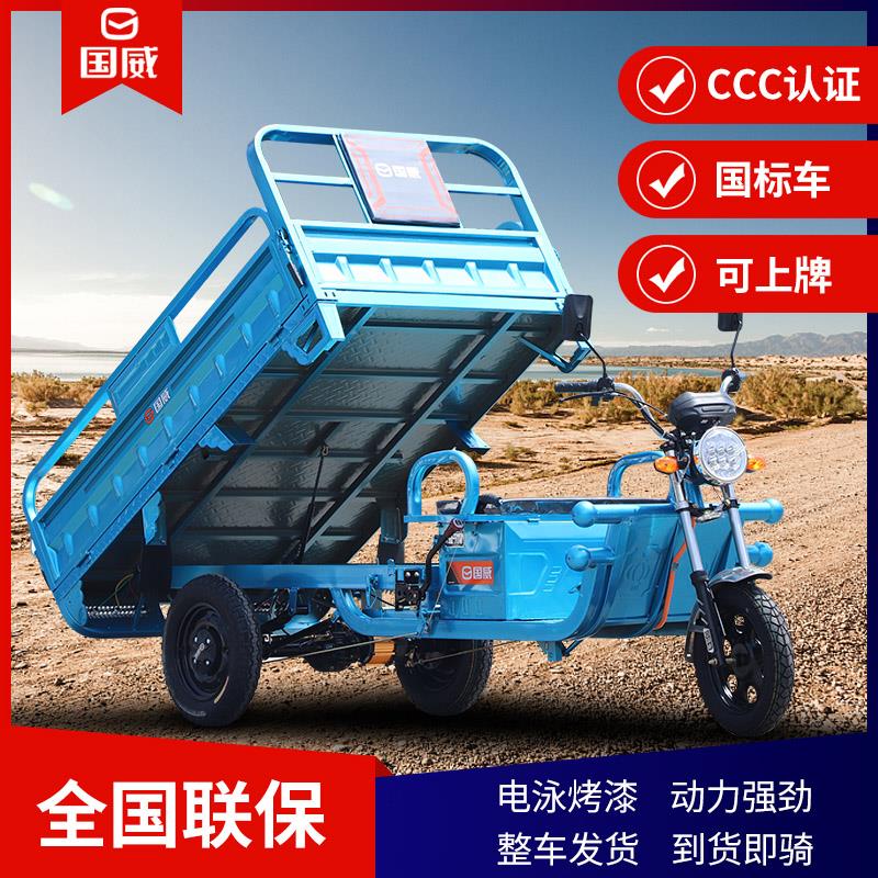 国威电动三轮车拉货家用接送孩子带棚载重王大功率电瓶车厂家直销