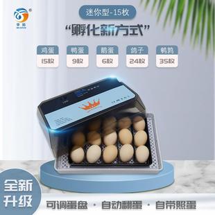 跨境货源孵化器全自动智能鸡鸭鸟蛋孵化器小型家用型孵化机15枚