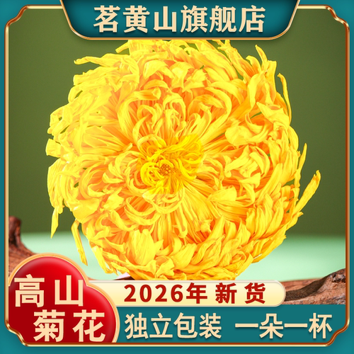 黄山高山金丝皇菊茶清热降火