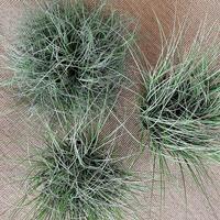 蒲草堆仿真植物造景擺件商場櫥窗裝飾假草叢落地景觀搭配小草彎草