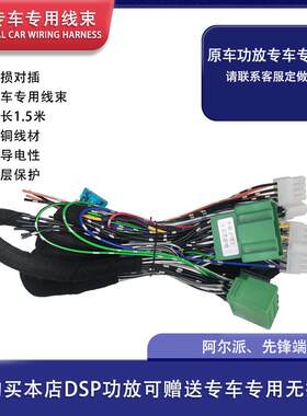 汽车音响改装线束客制化 原车功放线束适用DSP音响升级 先锋阿尔