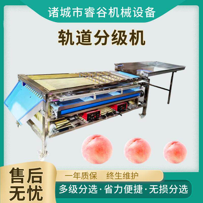 水蜜桃分级机震动分选机筛果机樱桃蓝莓李子百香果轨道水果分级机