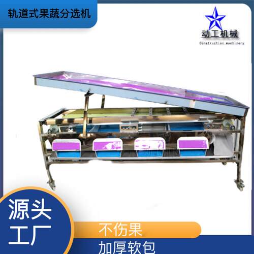 龙眼分级设备 大型商用柠檬青梅分级机 轨道式果蔬分选机
