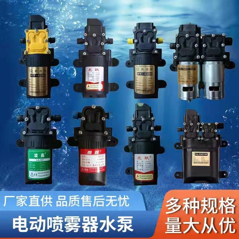 12V农用电动喷雾器水泵隔膜泵智能高压自吸泵大功率打药机配件