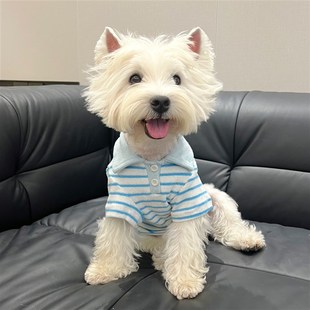 新款 T恤 秋冬狗狗衣服条纹西高地比熊雪纳瑞小型犬宠物polo衫 薄款