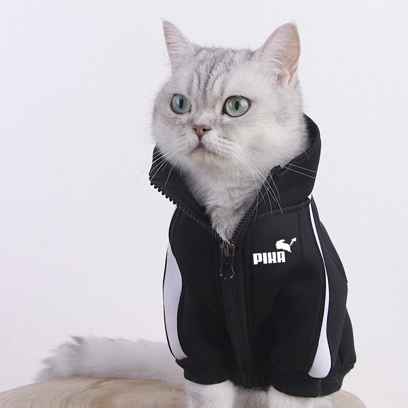 宠物猫咪衣服春秋薄款防掉毛小型犬狗狗衣服网红英短蓝猫衣服潮牌