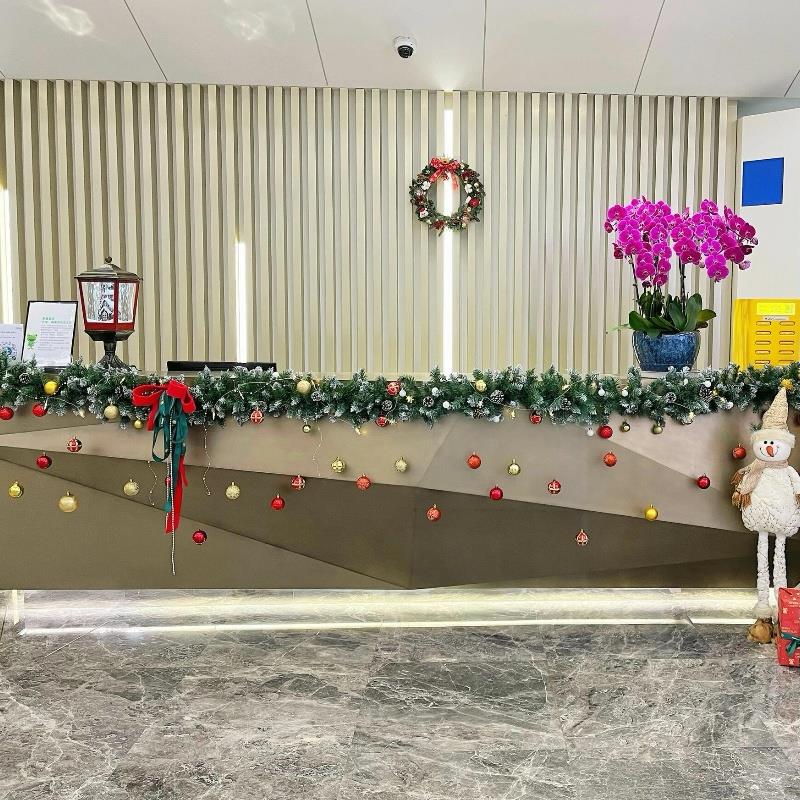 圣诞藤条装饰品加密花环公司前台店铺氛围感场景布置挂饰拍照道具