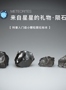硅化铁陨石原石标本天铁宇宙礼物科普新疆五彩湾天然天外来客星星