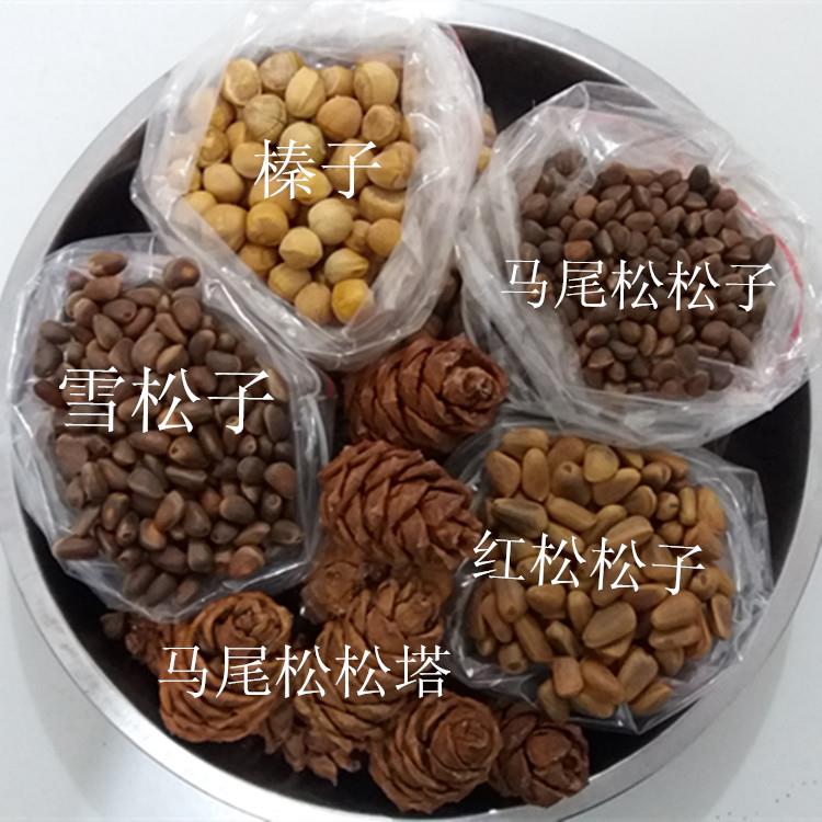 鼠粮套餐,每样宝贝250克。松鼠、仓鼠、鹦鹉粮食