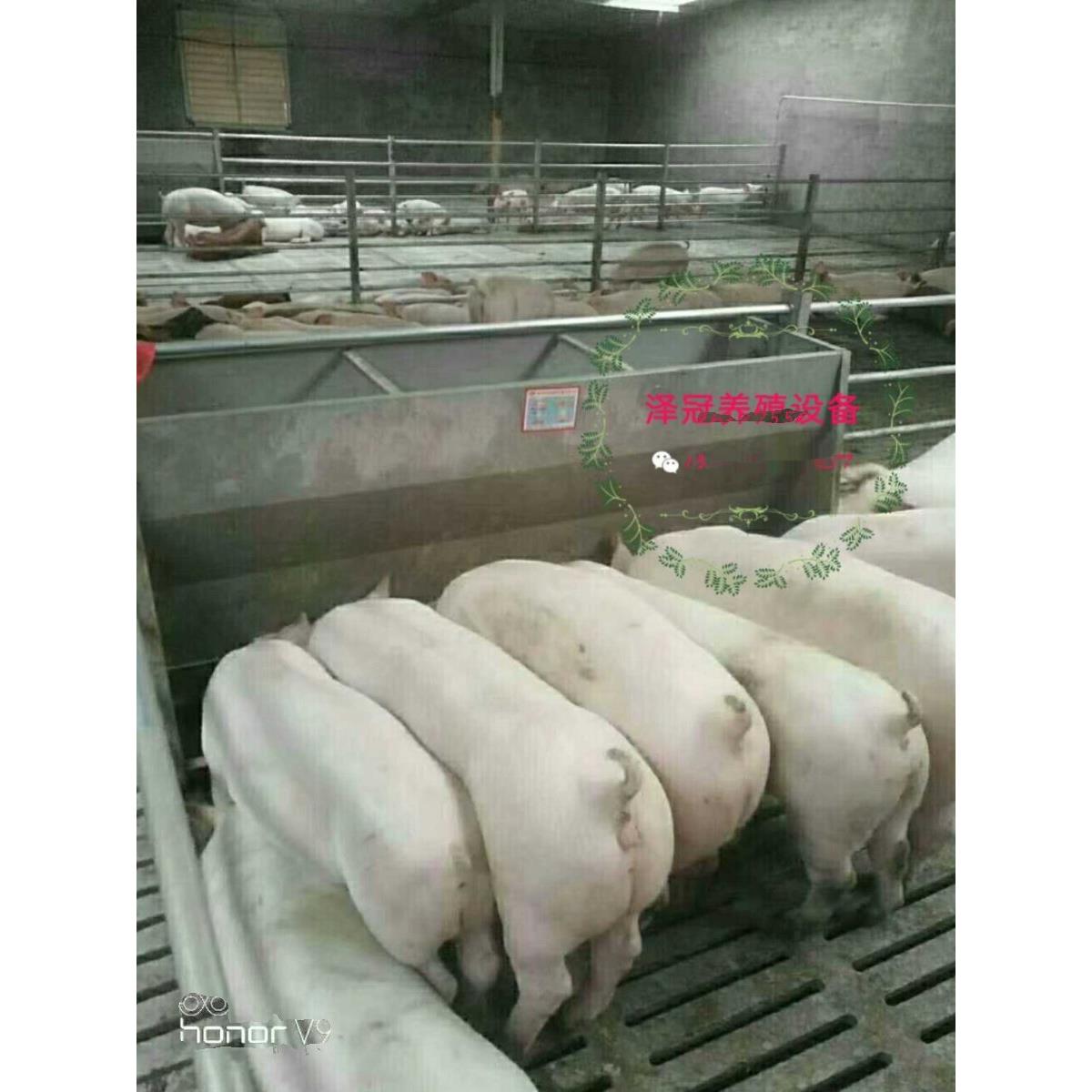 育肥猪食槽猪用不锈钢双面料槽食槽自动下料器畜牧用猪槽自由采食