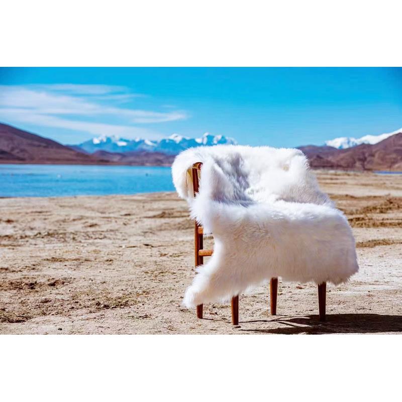 西藏礼物西藏羊毛坐垫羊皮垫整张雪羊皮沙发垫地毯御寒保暖加厚