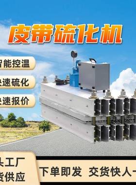 输送带硫化机 体积小 电动控制胶带硫化机 LFP-800*400皮带硫化机