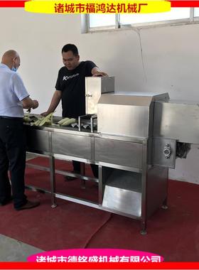 切割十一公分玉米机器 鲜带玉米切段机 水果萝卜胡萝卜切段机