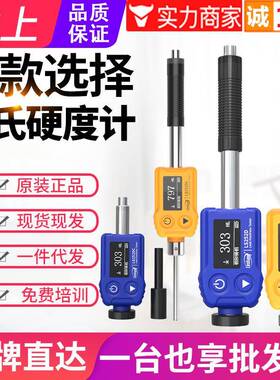 特惠LS252D里氏硬度计LS252C金属钢材铸铁模具硬度测量仪LS25