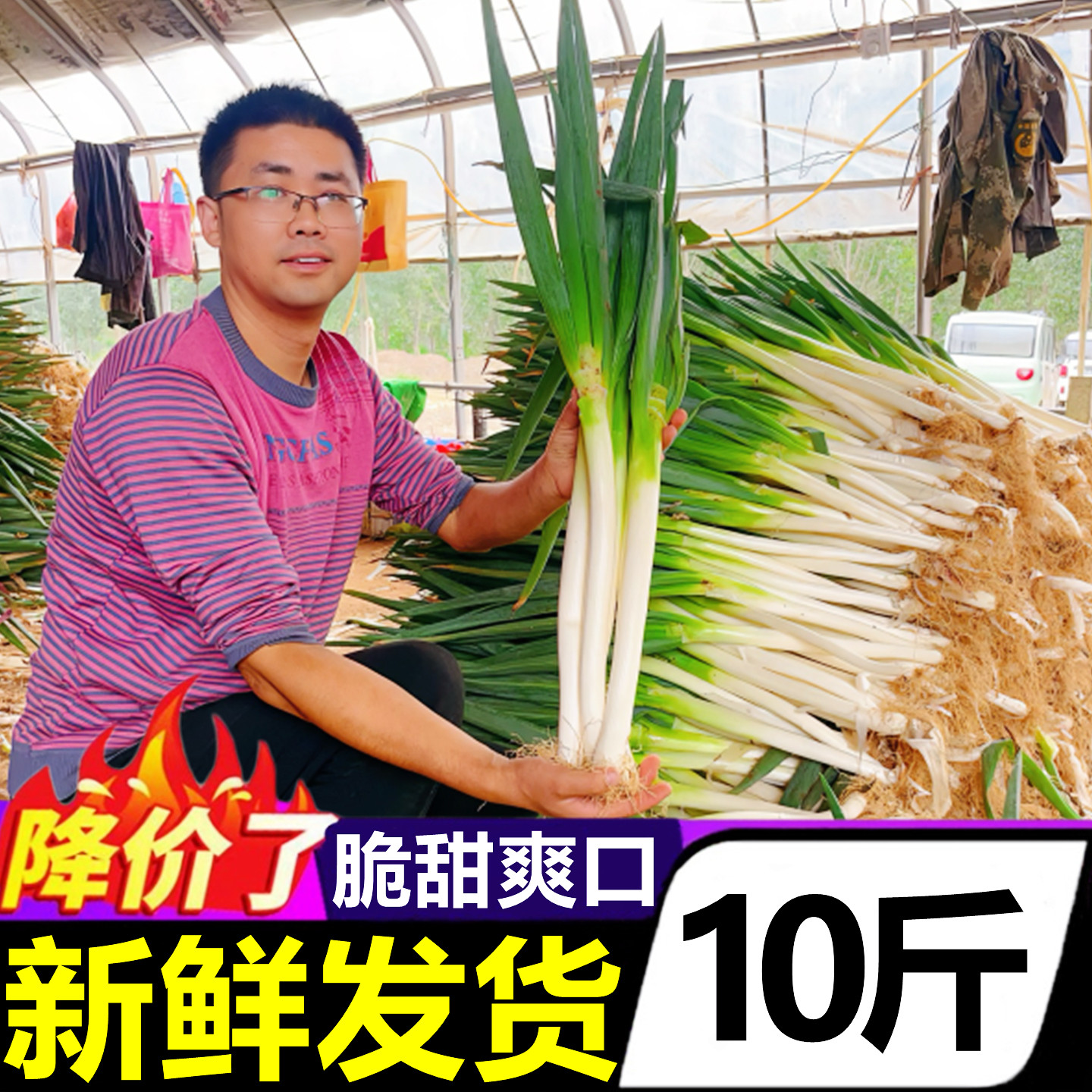 正宗山东章丘铁杆大葱新鲜10斤当季蔬菜甜葱嫩葱现挖新葱整箱批发