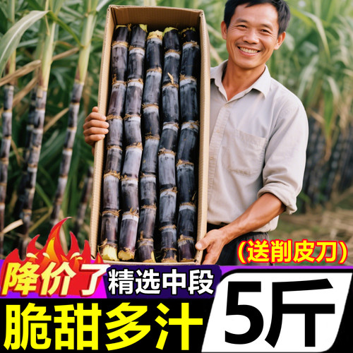 【正宗广西黑皮甘蔗】官方推荐