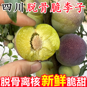 【正宗四川脱骨李】已上热销榜！