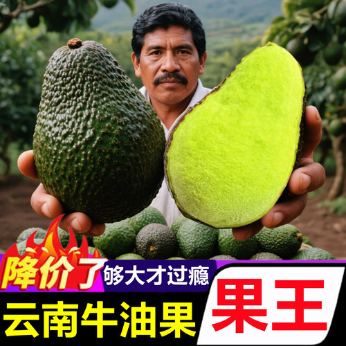 【云南哈斯牛油果】已上热销榜！
