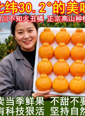 正宗四川不知火丑橘当季新鲜水果9斤高山柑耙耙桔子整箱丑八怪10