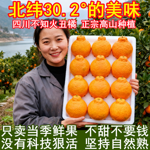 【四川不知火丑橘】已上热销榜！