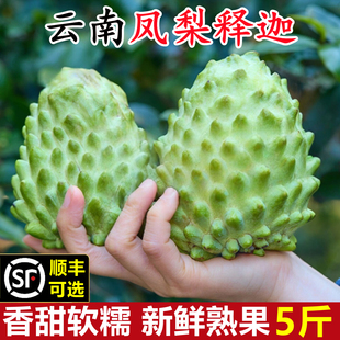 云南凤梨释迦果新鲜大果10斤番荔枝牛奶牟尼好吃水果现当季摘整箱