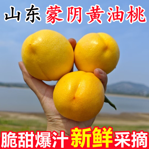 正宗山东蒙阴黄金油桃新鲜水果5斤当季时令黄心肉油桃子脆甜整箱