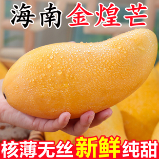 正宗海南金煌芒芒果新鲜10斤应当季金黄芒水仙芒热带孕妇水果整箱