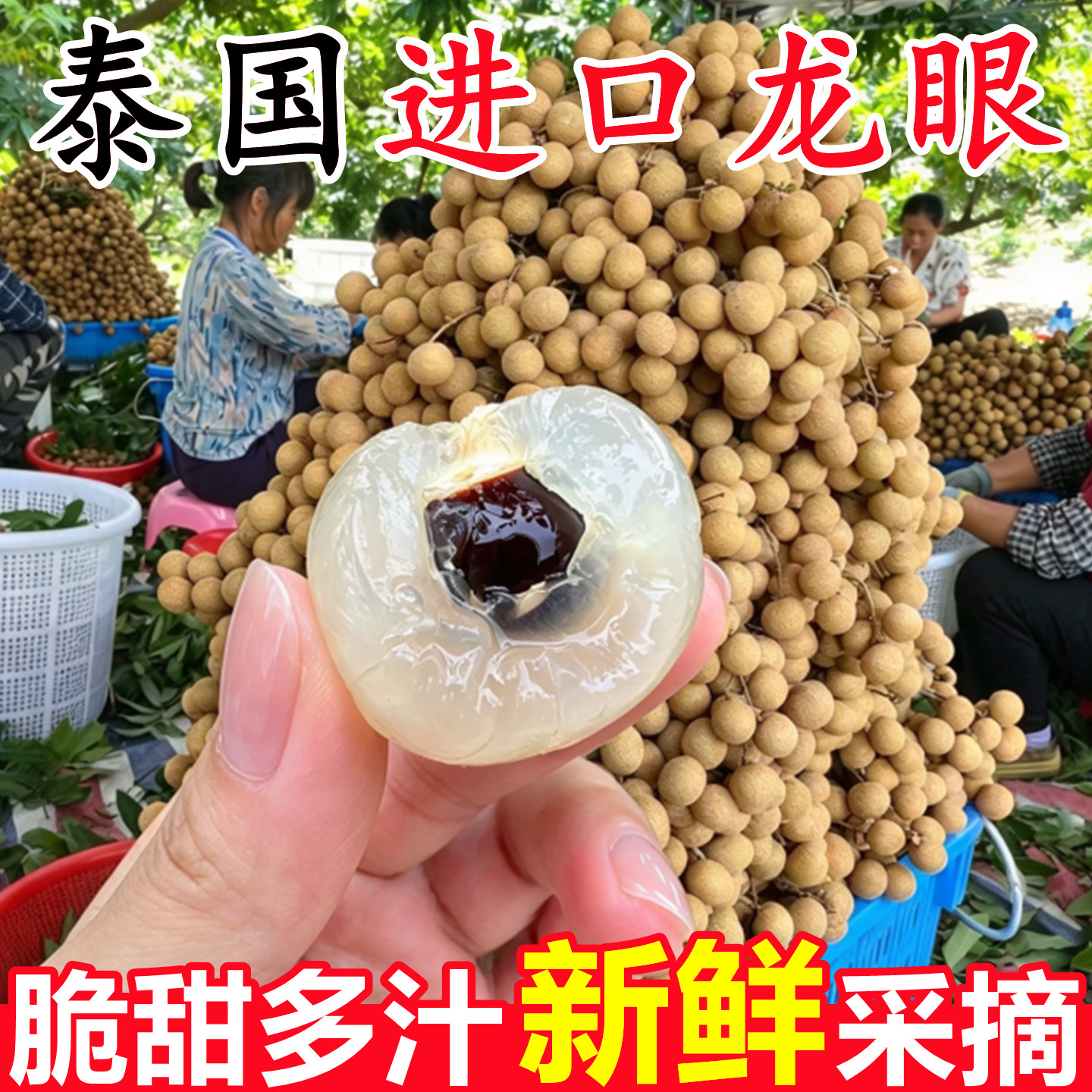 【泰国进口龙眼】已上热销榜!