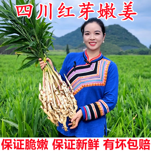 【四川红芽嫩仔姜】已上热销榜！