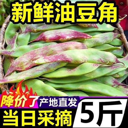 【正宗一点红油豆角】官方推荐