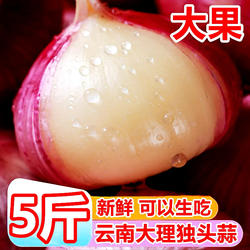 云南大理独头蒜大果5斤220个新鲜干蒜新蒜紫皮大蒜头独蒜圆蒜批发