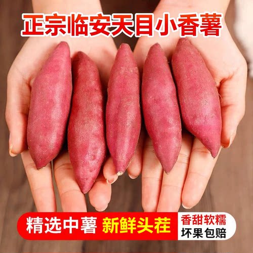 【正宗临安小香薯】已上热销榜！