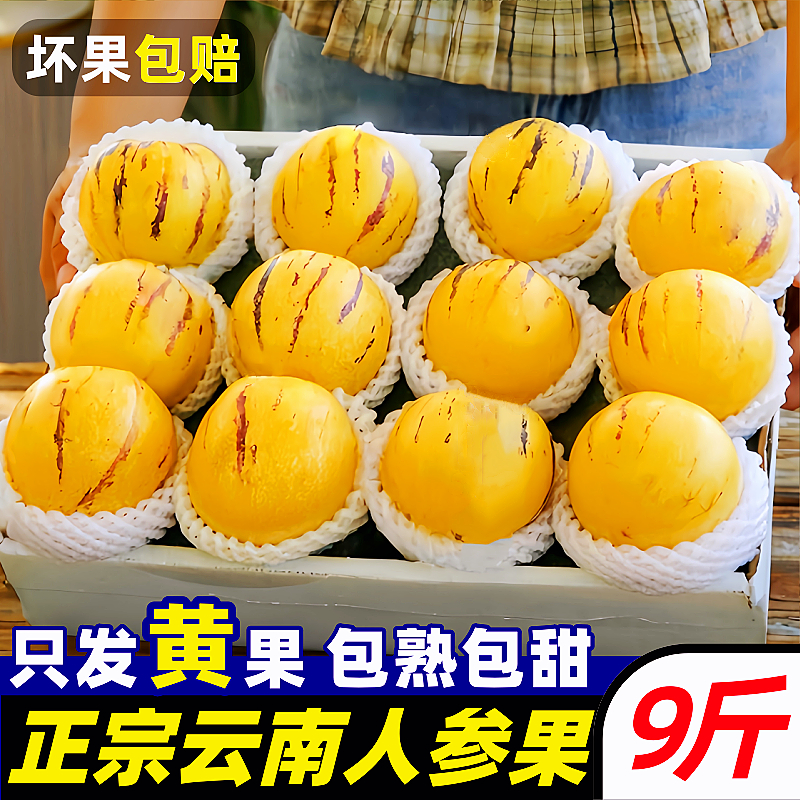 【云南石林人参果】已上热销榜！