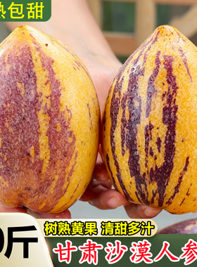 甘肃沙漠人参果新鲜水果大果10斤当季民时令七彩勤黄肉树上熟整箱