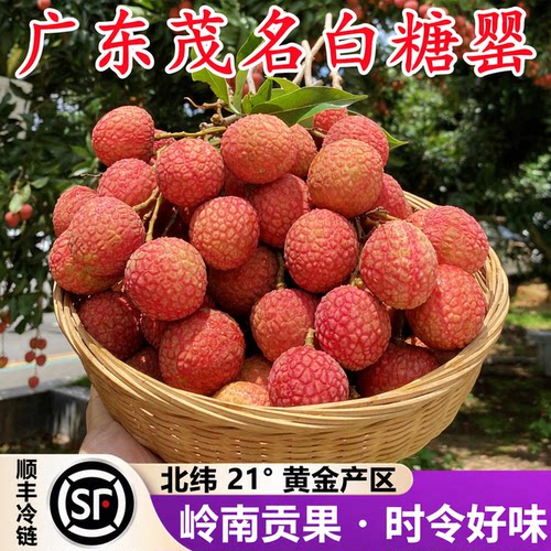【广东高州白糖罂】已上热销榜！