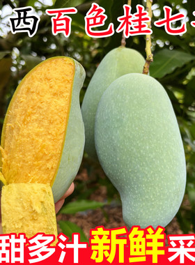 【广西百色桂七芒果】已上热销榜