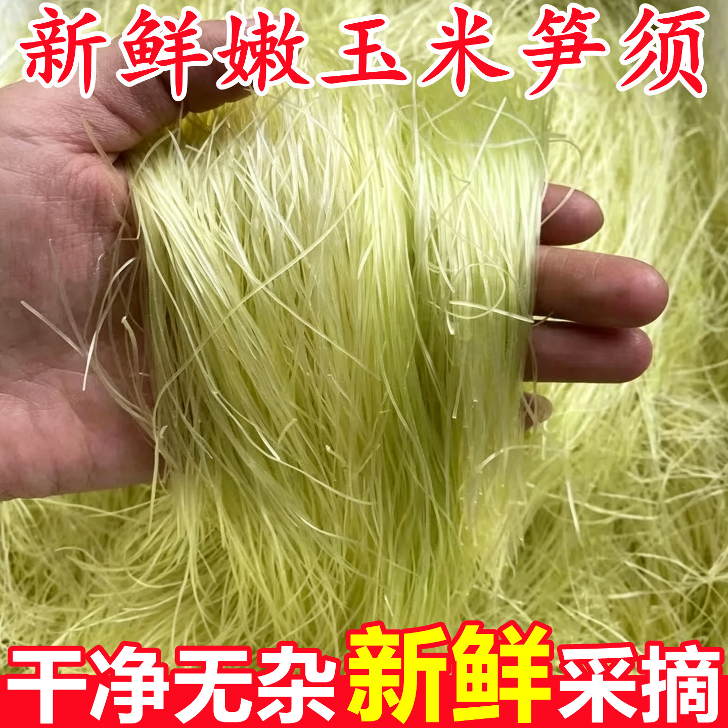 【新鲜嫩玉米须】已上热销榜!