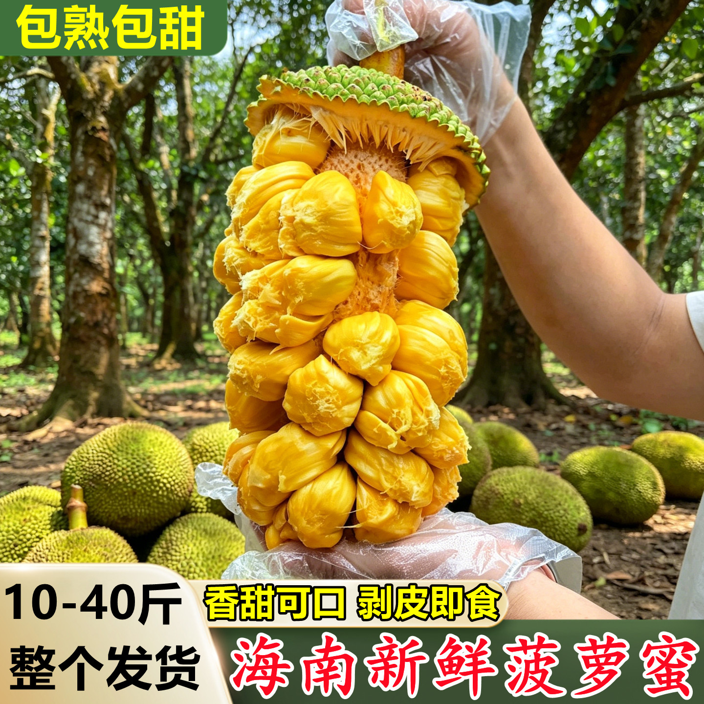 正宗海南菠萝蜜一整个新鲜当季热带水果非湿包红肉菠萝蜜整箱批发